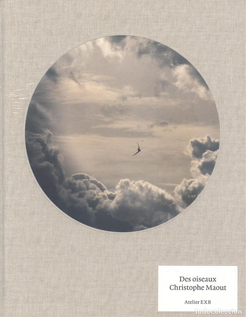 books: DES OISEAUX - Maout, Christophe