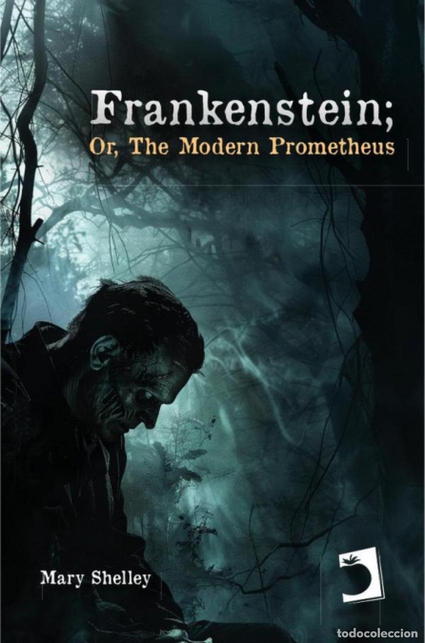 Libros: FRANKENSTEIN; OR, THE MODERN PROMETHEUS - SHELLEY, MARY