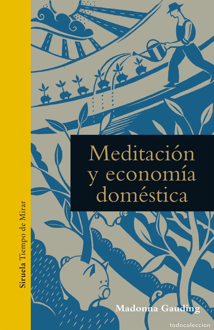 Libros: LA MEDITACI&Oacute;N Y ECONOM&Iacute;A DOM&Egrave;STICA - Gauding, Madonna
