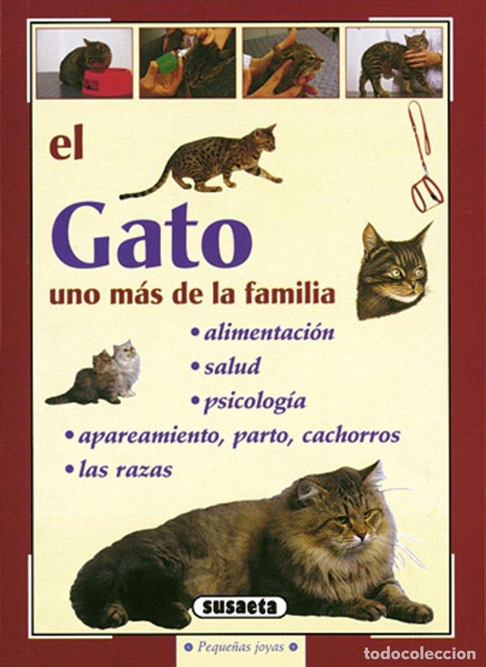 Livros: GATO UNO MAS DE LA FAMILIA - AA.VV