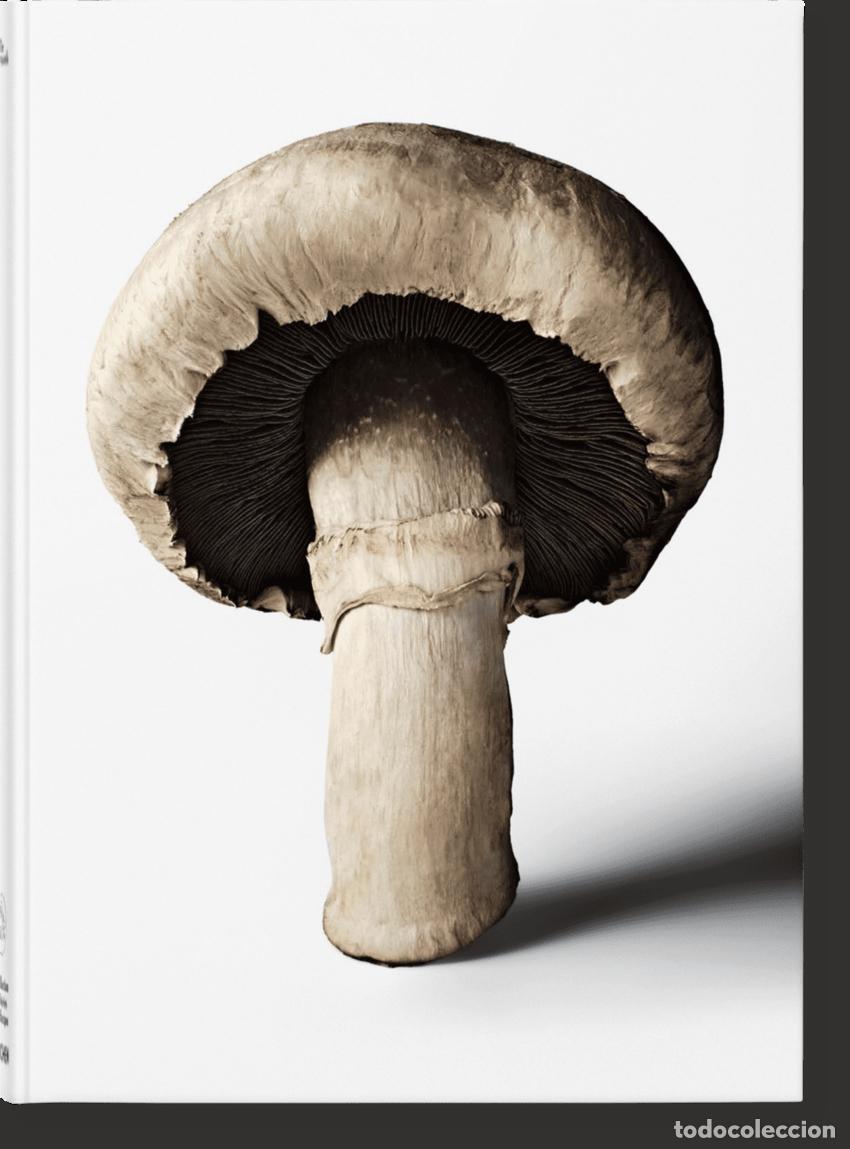 Libros: THE GOURMAND'S MUSHROOM. A COLLECTION OF STORIES - 1396
