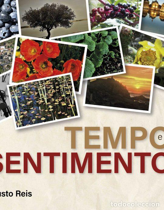 Livros: TEMPO E SENTIMENTO - Reis, Fausto