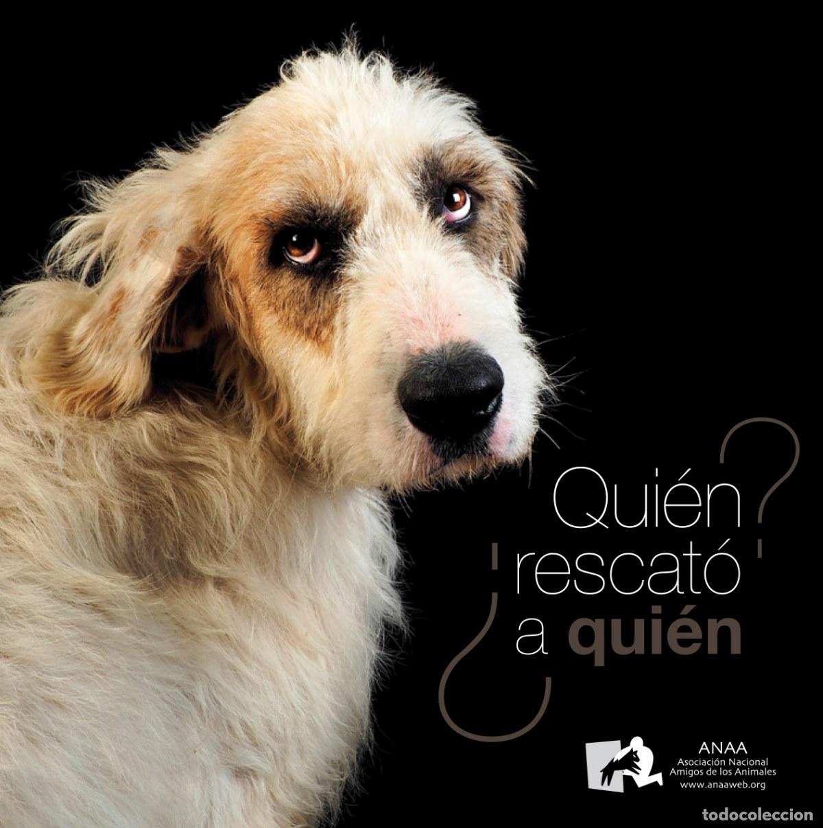 Livros: &iquest;QUI&Eacute;N RESCATO A QUI&Eacute;N? - Autoayuda, desarrollo personal y consejos practicos