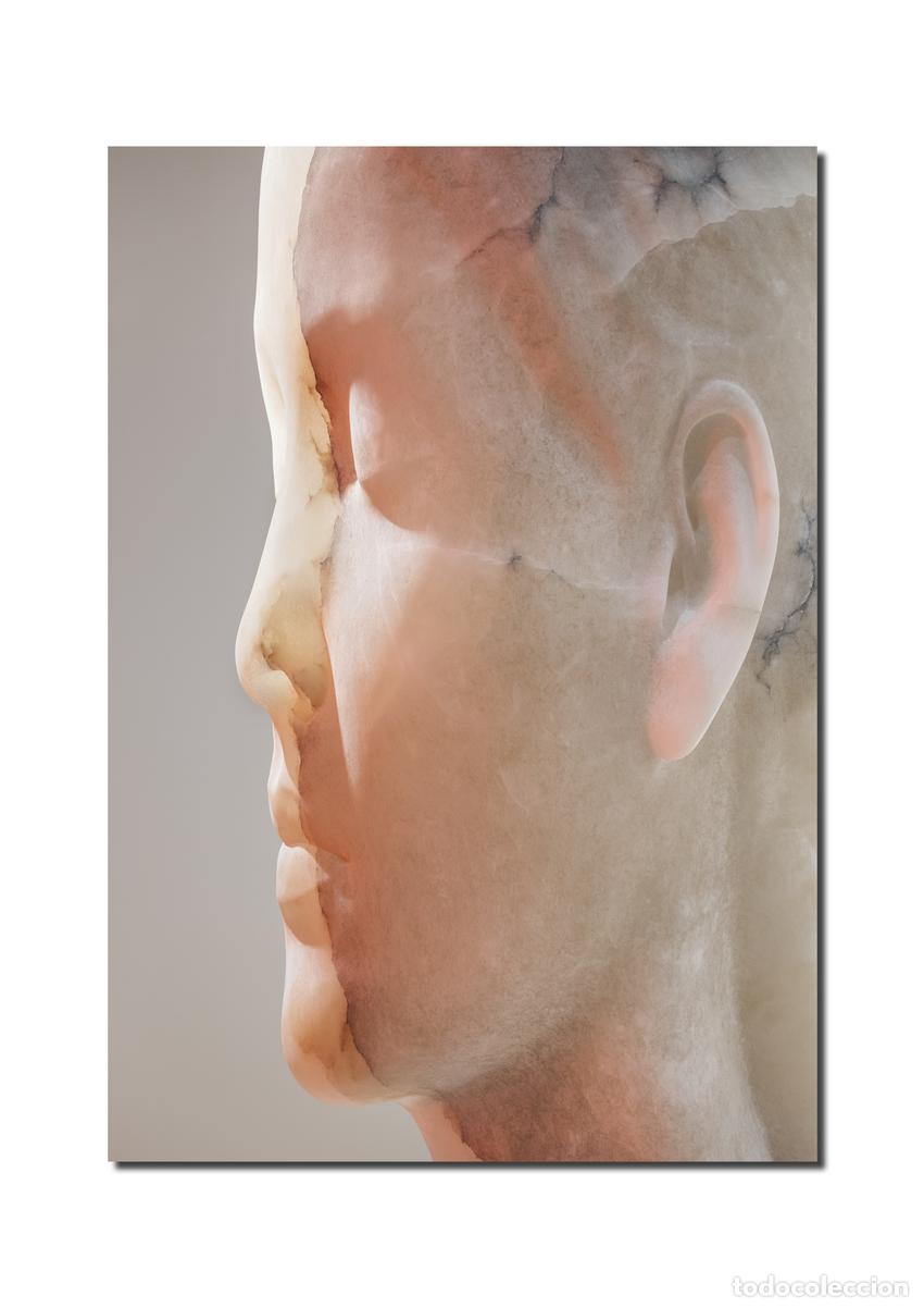 Libros: JAUME PLENSA: INNER MATTER / MATERIA INTERIOR - Plensa, Jaume