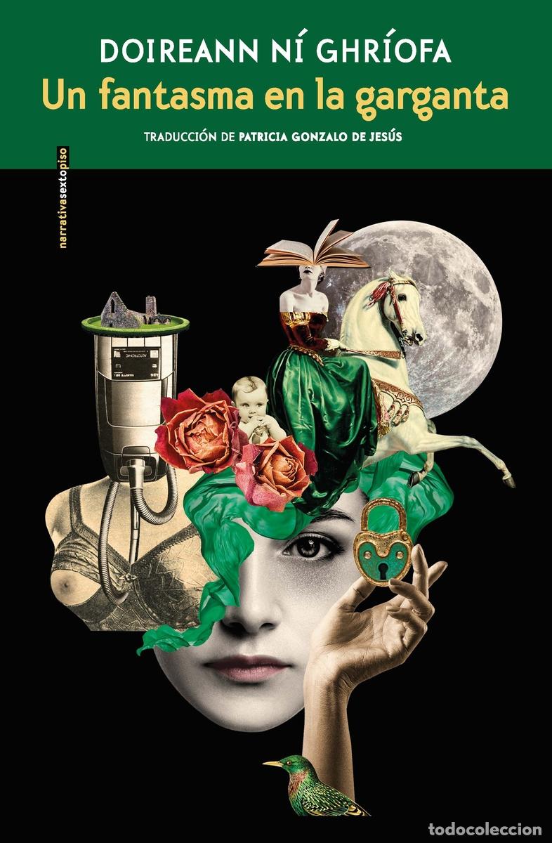 Libros: UN FANTASMA EN LA GARGANTA - N&iacute; Ghr&iacute;ofa, Doireann