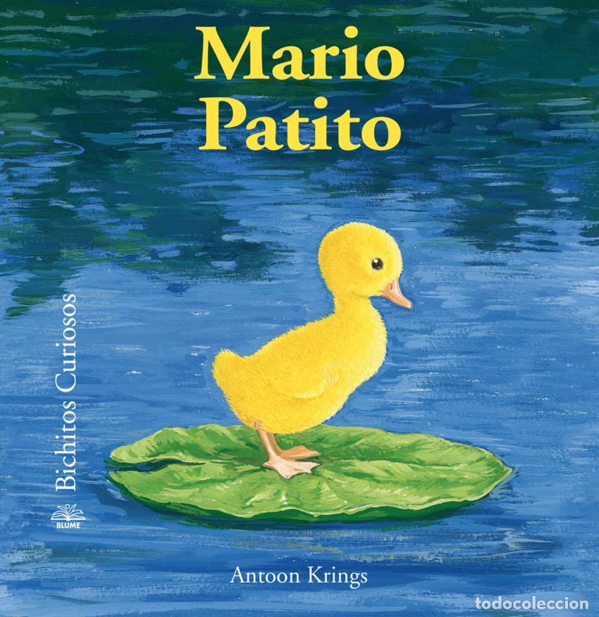 B&uuml;cher: BICHITOS CURIOSOS. MARIO PATITO - Krings, Antoon