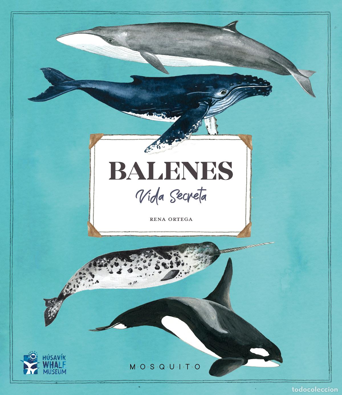 Livres: BALENES. VIDA SECRETA - ORTEGA, RENA