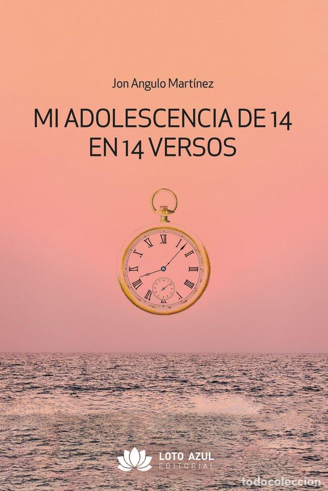 Libros: MI ADOLESCENCIA DE 14 EN 14 VERSOS - ANGULO MARTINEZ, JON