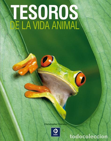 Libros: TESOROS DE LA VIDA ANIMAL - THOREAU, CHRISTOPHE