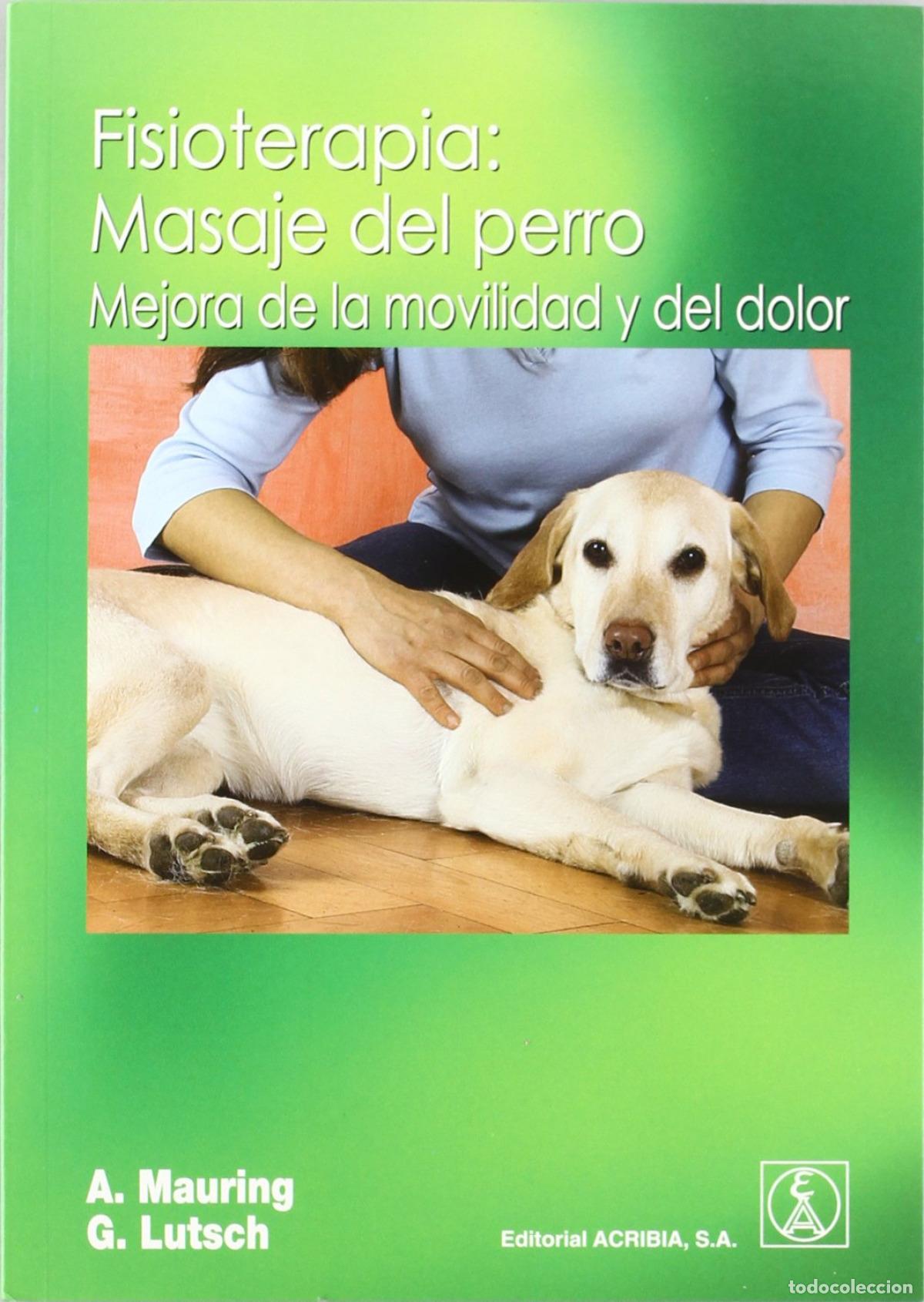 Libri: FISIOTERAPIA: MASAJE DEL PERROMEJORA DE LA MOVILIDAD/DEL DOLOR - Deportes y actividades de ocio al a