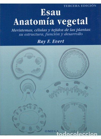 Libros: ESAU ANATOMIA VEGETAL 3&ordf;ED - EVERT, RAY F.
