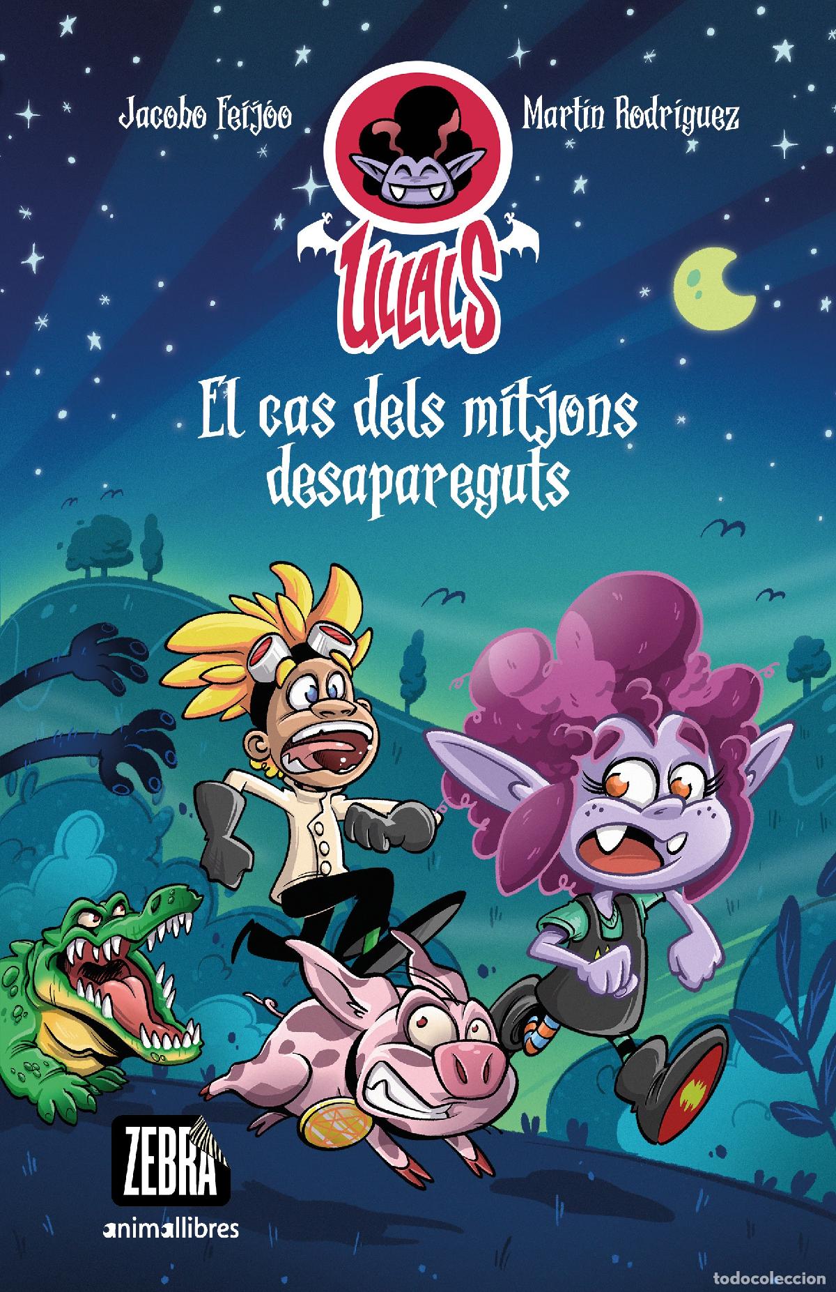 books: EL CAS DELS MITJONS DESAPAREGUTS - Feijoo, Jacobo