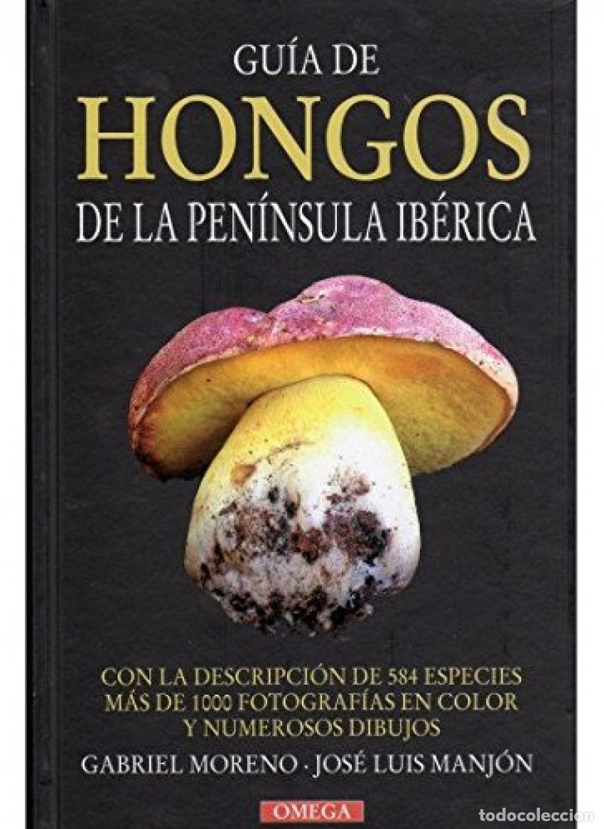 Libros: GU&Iacute;A DE HONGOS DE LA PEN&Iacute;NSULA IB&Eacute;RICA - Moreno G