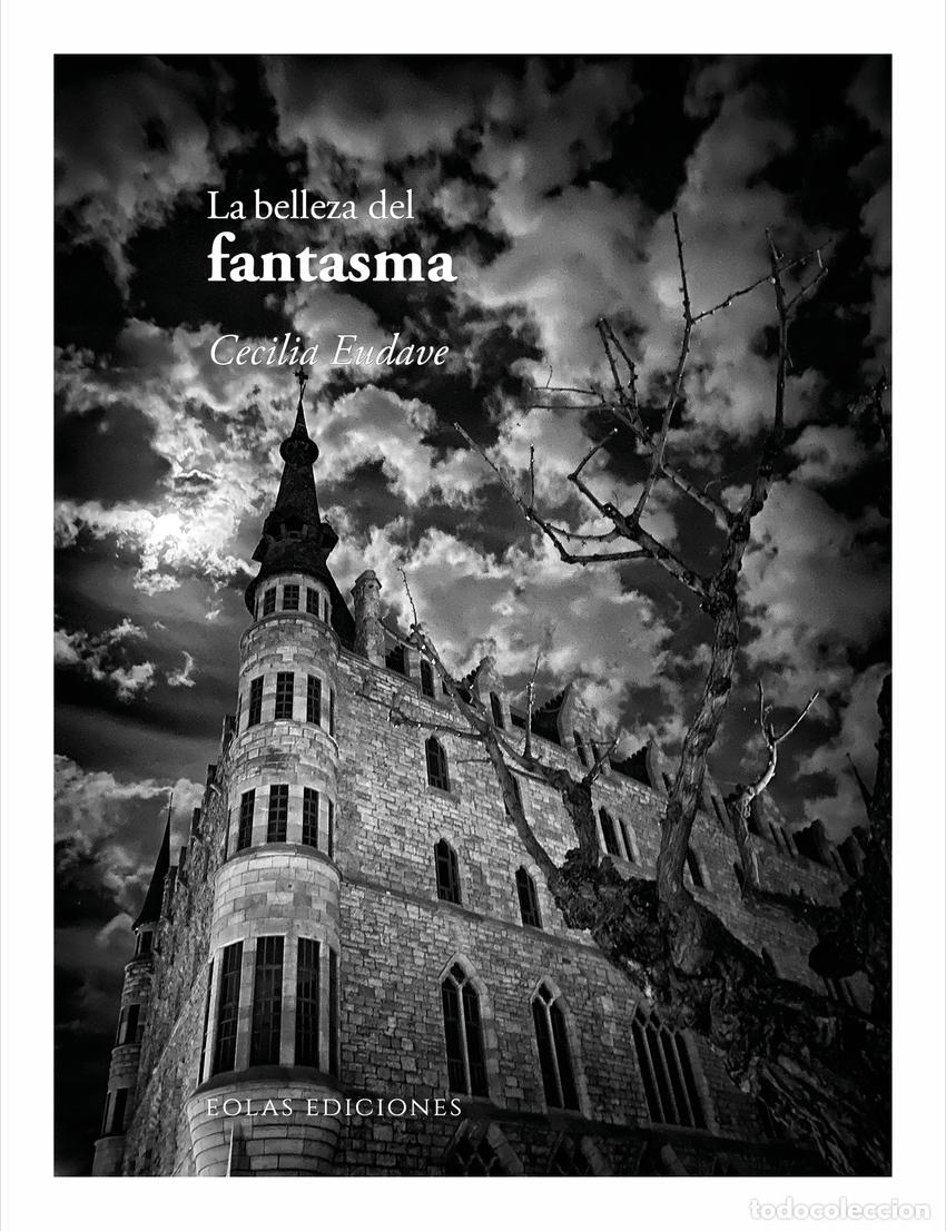 Libri: LA BELLEZA DEL FANTASMA - Eudave, Cecilia