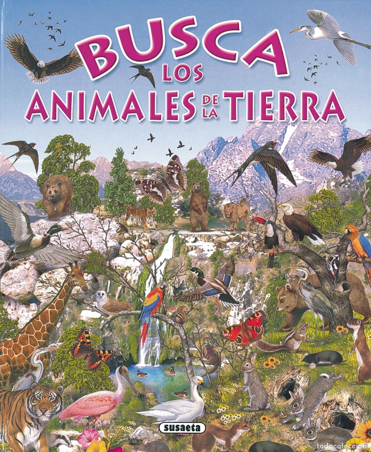 Libri: BUSCA LOS ANIMLES DE LA TIERRA - Rovira, Pere