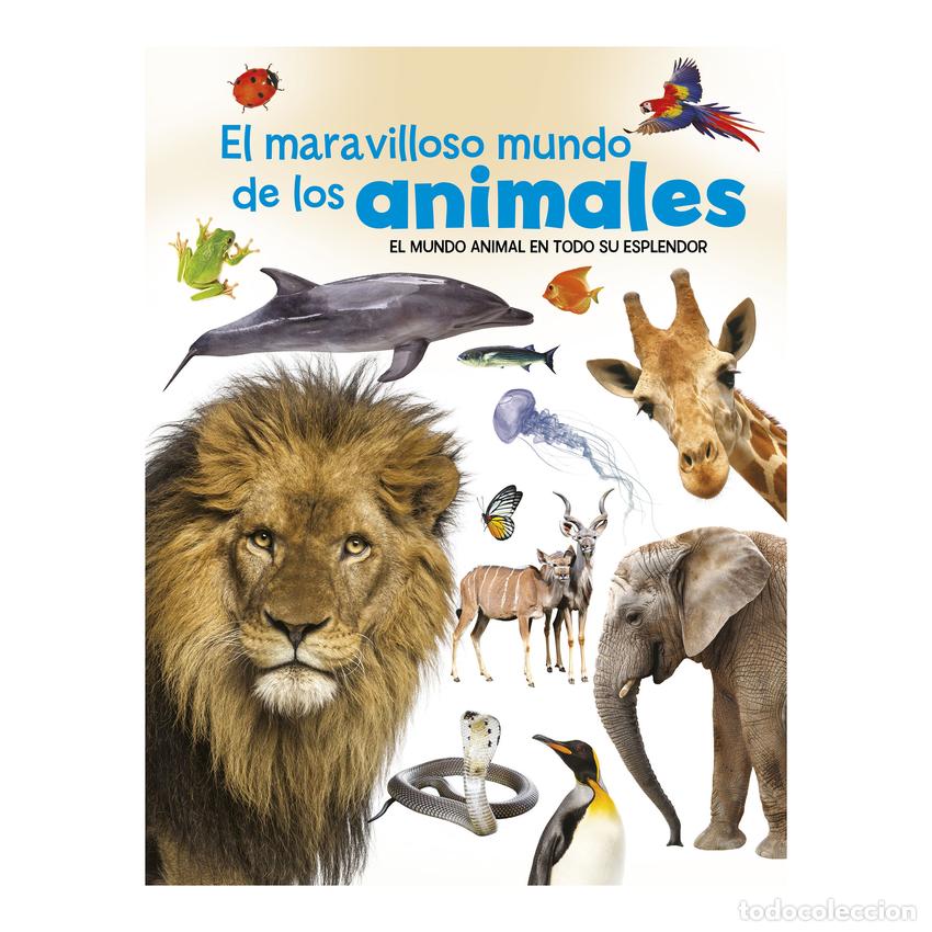 Libros: EL MARAVILLOSO MUNDO DE LOS ANIMALES - Imagiland