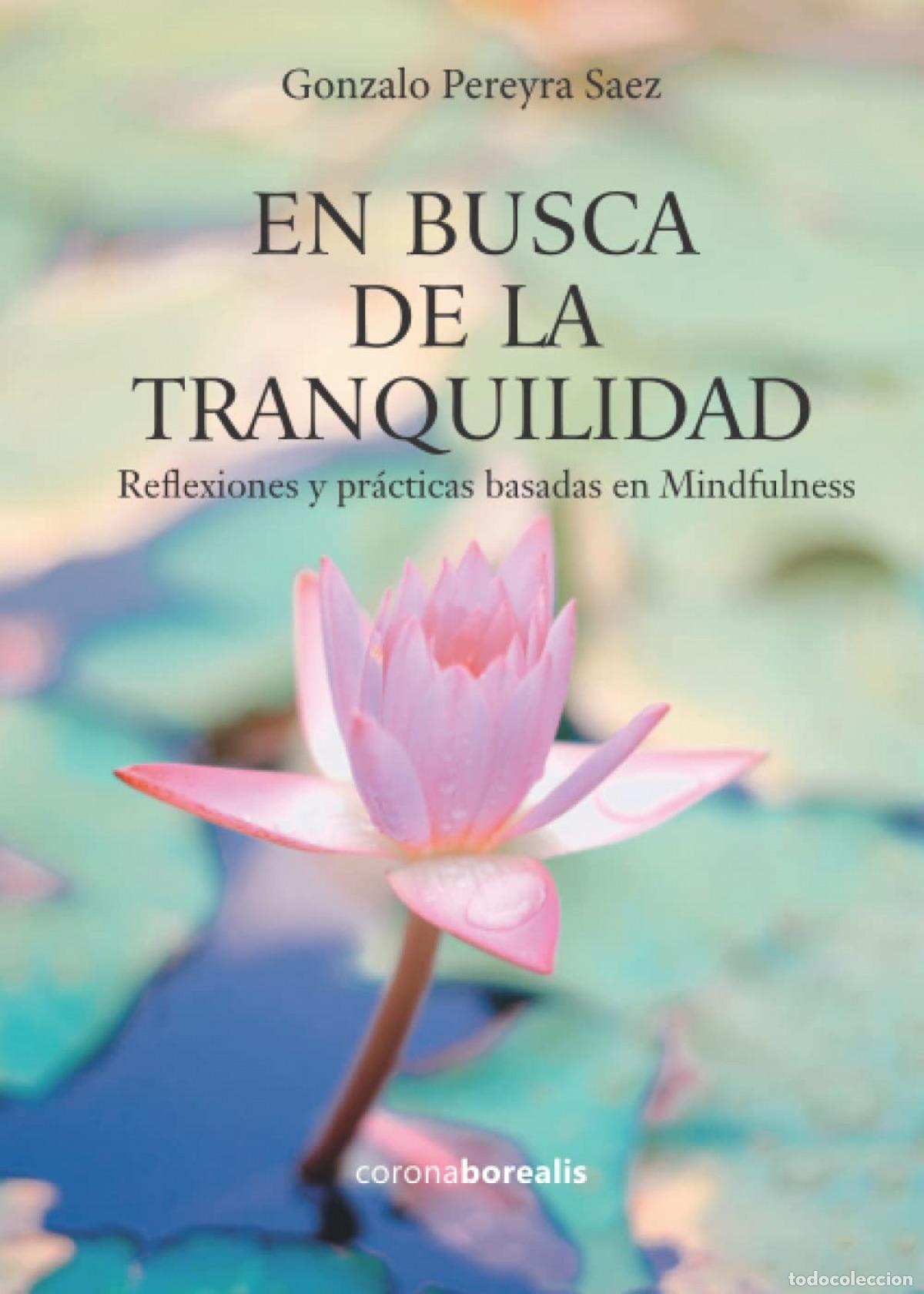 Livros: EN BUSCA DE LA TRANQUILIDAD - GONZALO PEREYRA SAEZ