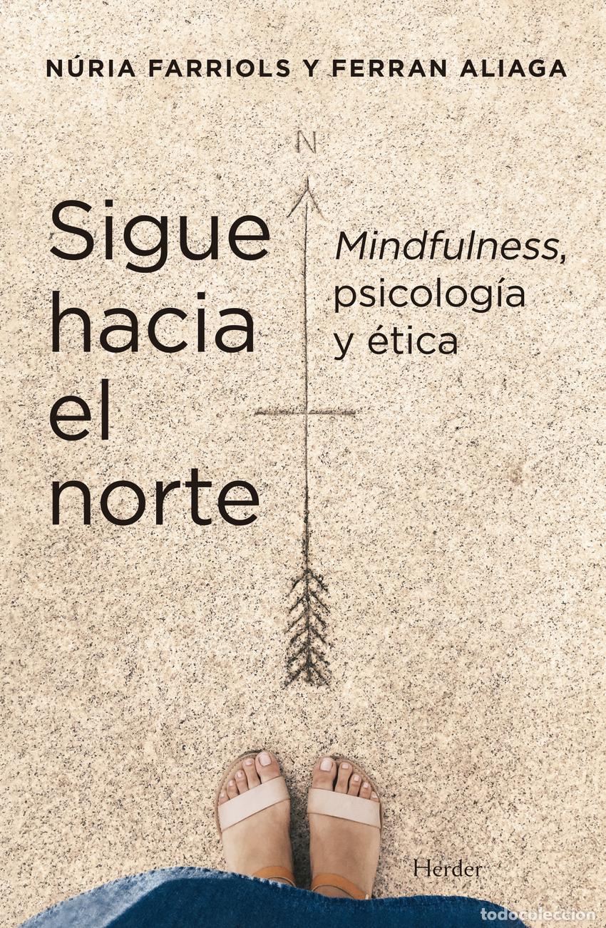 Libros: SIGUE HACIA EL NORTE - FARRIOLS HERNANDO, NURIA