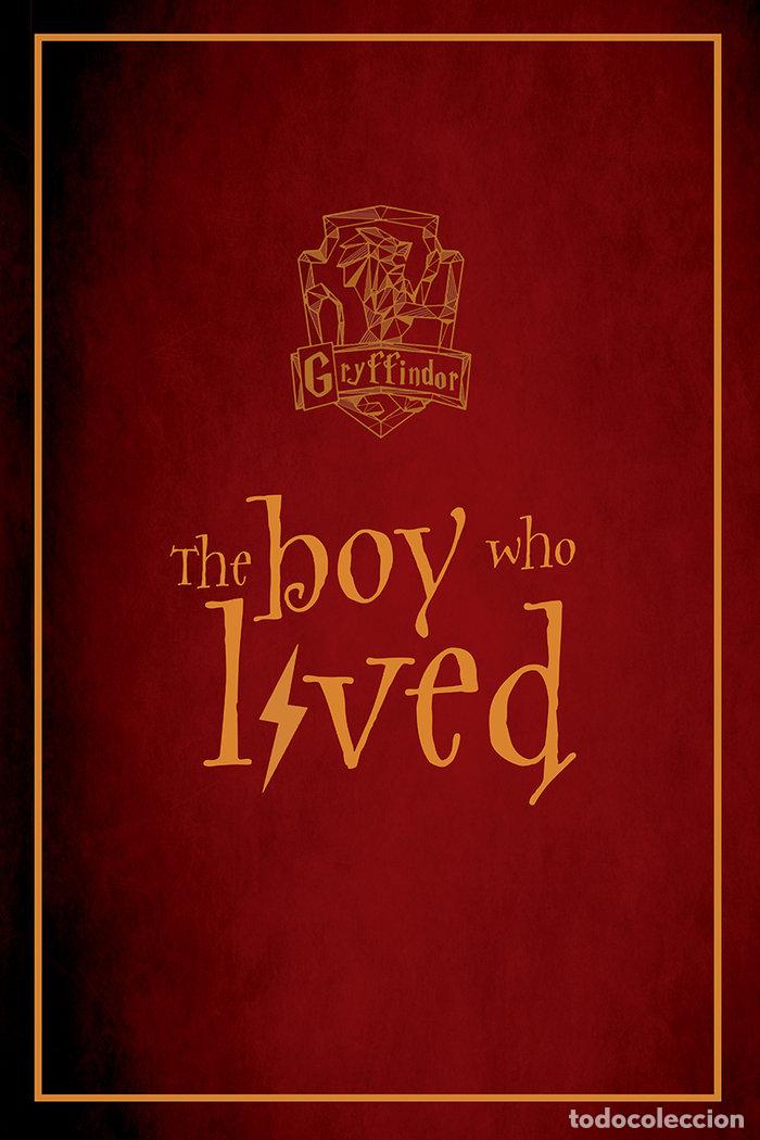 Libros: BLOC DE NOTAS HARRY POTTER GRYFFINDOR - MEDIA, GUNIS