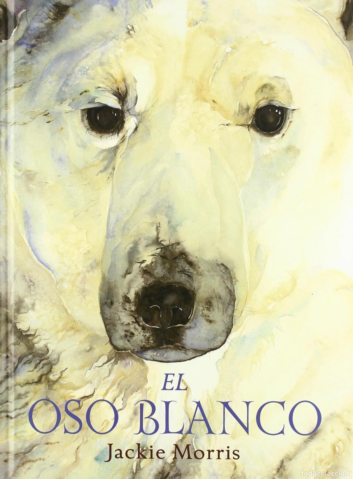 Libri: EL OSO BLANCO - Morris, Jackie