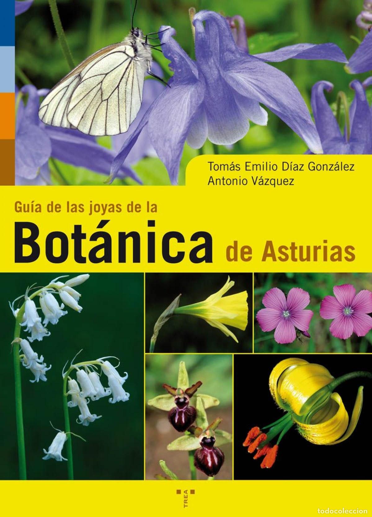 Libros: GUIA JDE LAS JOYAS DE LA BOT&Aacute;NICA DE ASTURIAS - Diaz Gonzalez, Tomas Emiliio