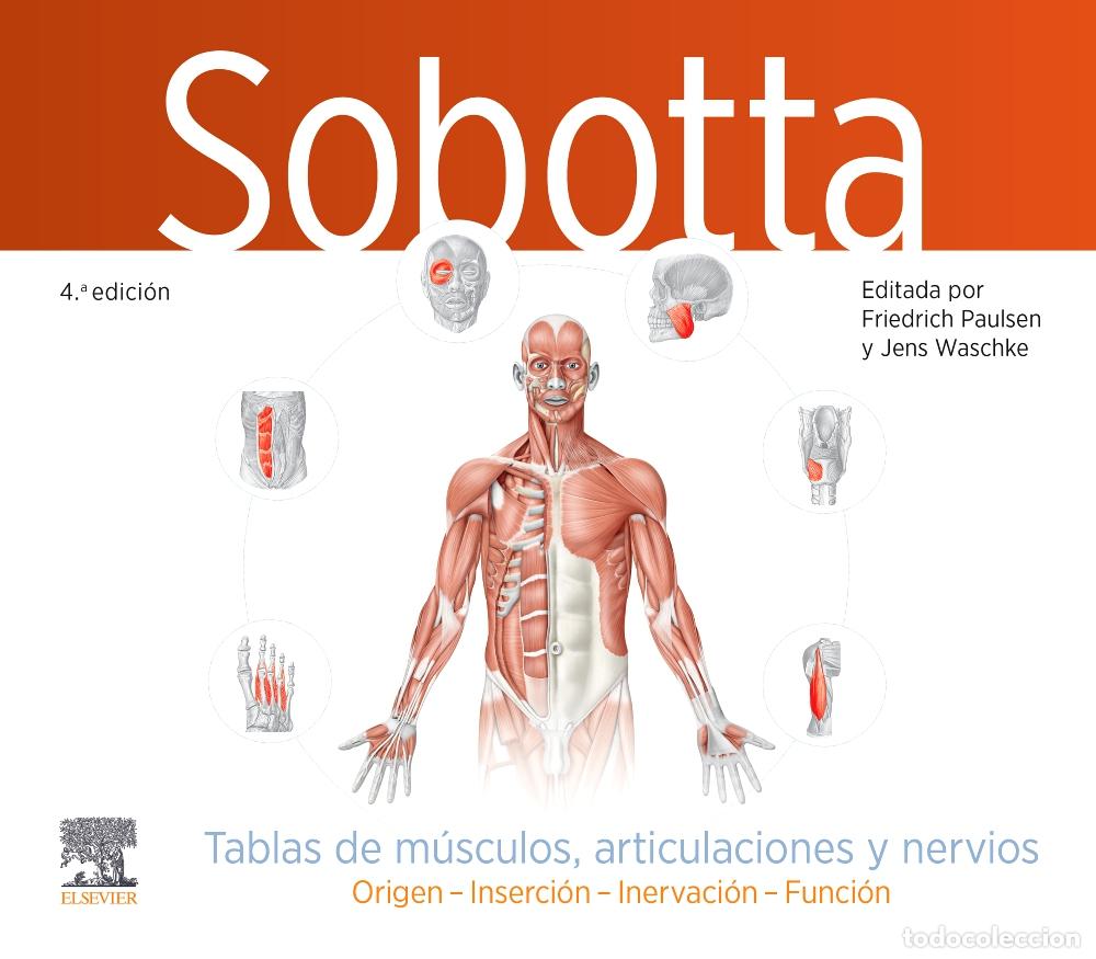 books: SOBOTTA TABLAS DE MUSCULOS ARTICULACIONES Y NERVIOS 4&ordf; ED - PAULSEN