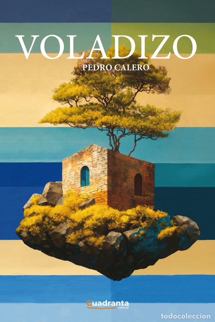Libros: VOLADIZO - CALERO, PEDRO