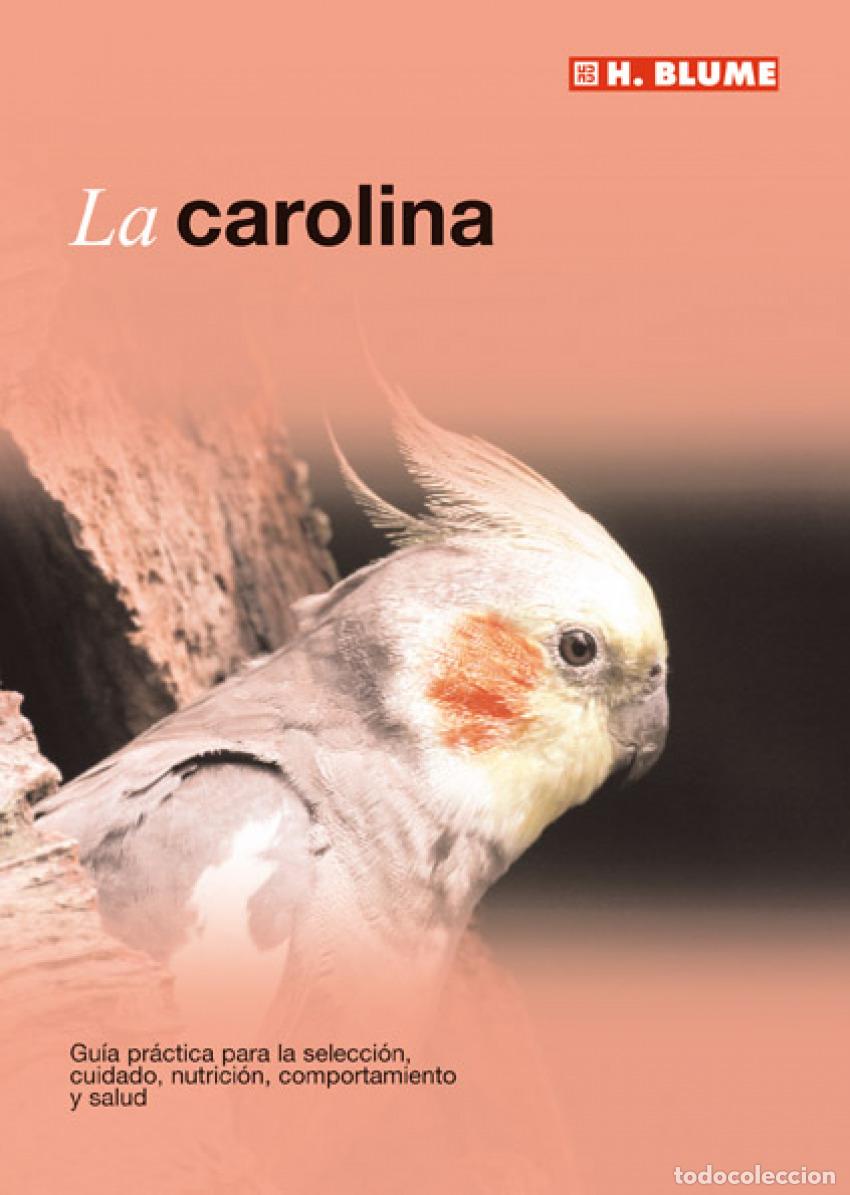 Libros: CAROLINA - George, David