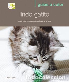 B&uuml;cher: LINDO GATITO - Taylor, David