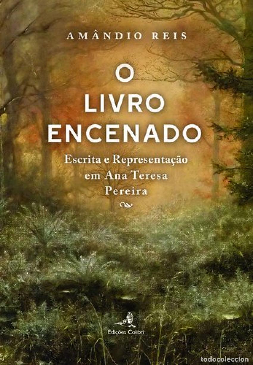 Libros: O LIVRO ENCENADO - REIS, AM&Acirc;NDIO