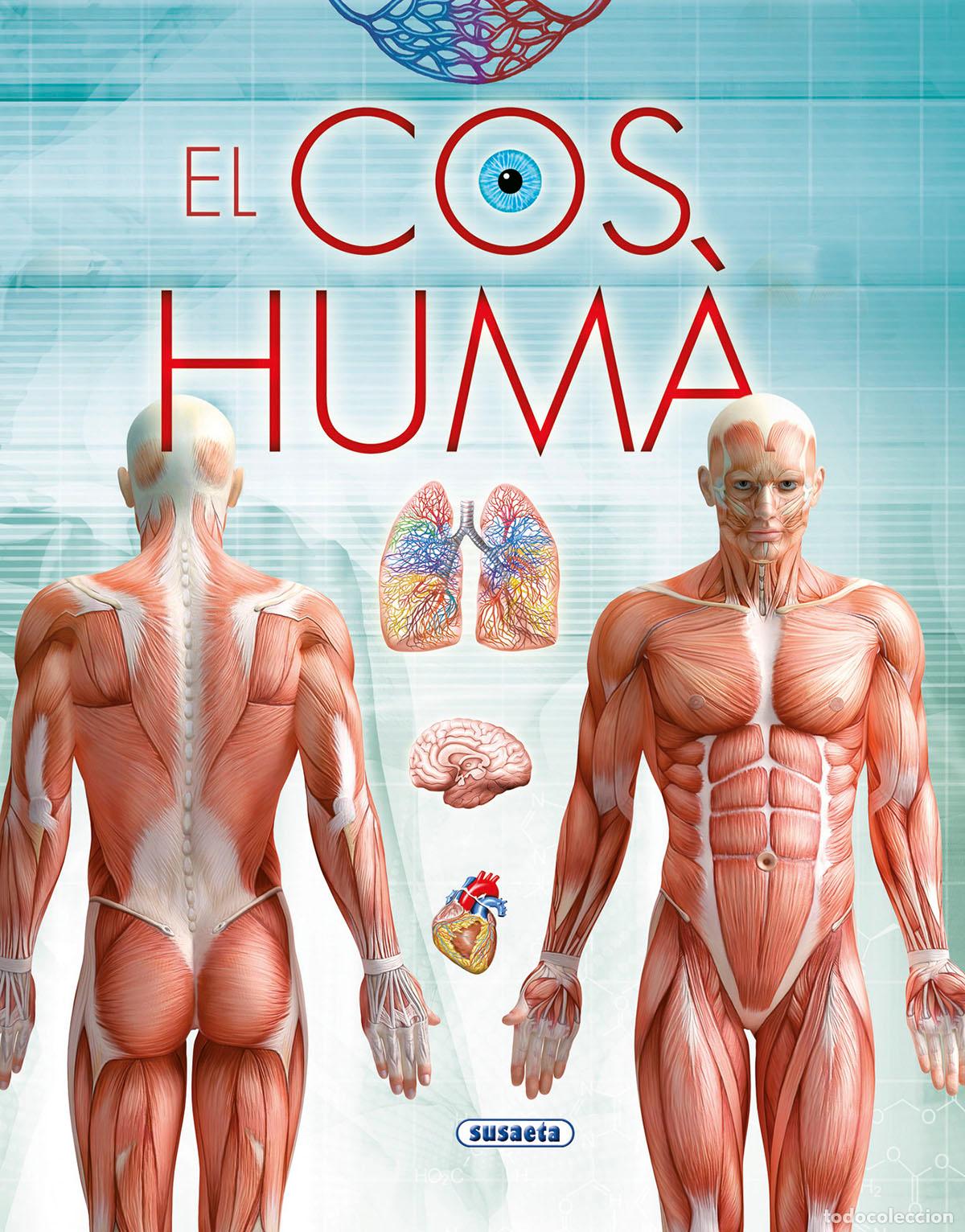 Libros: EL COS HUM&Agrave; - Susaeta, Equip