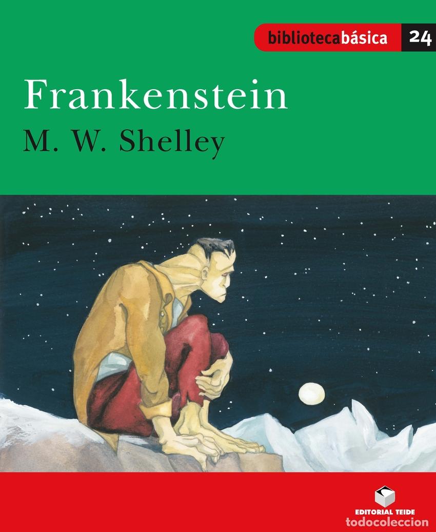 Libros: FRANKENSTEIN - VV.AA.