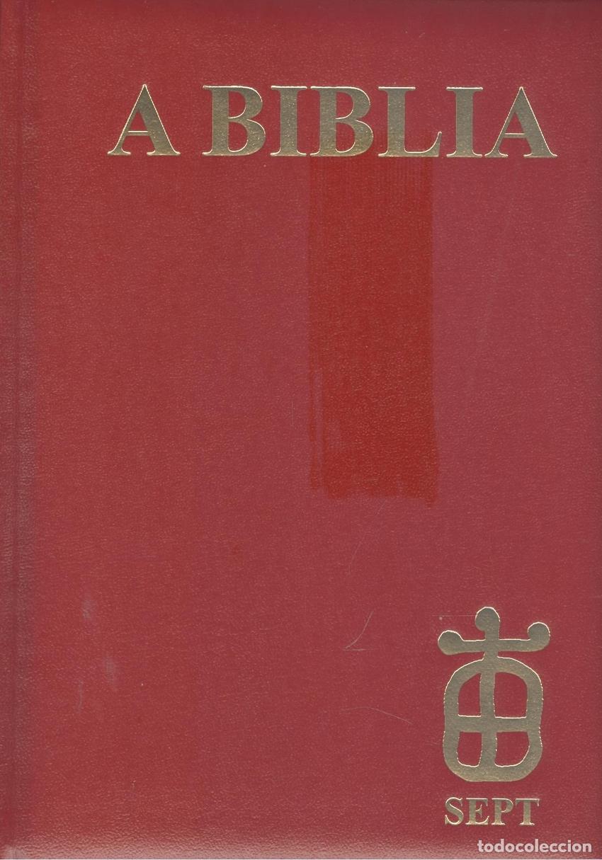 Libros: A BIBLIA - AN&Oacute;NIMO..