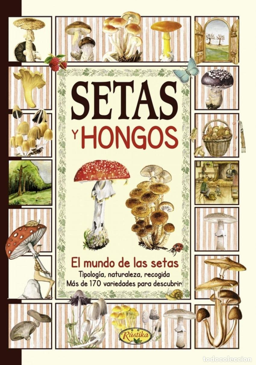 Livres: SETAS Y HONGOS - AA.VV.