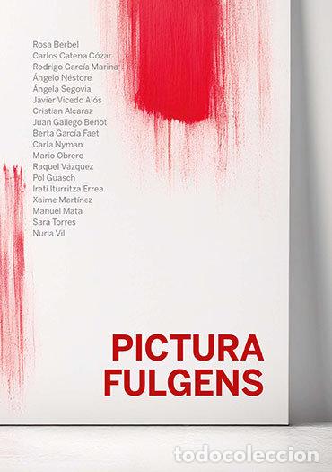 B&uuml;cher: PICTURA FULGENS - VARIOS AUTORES