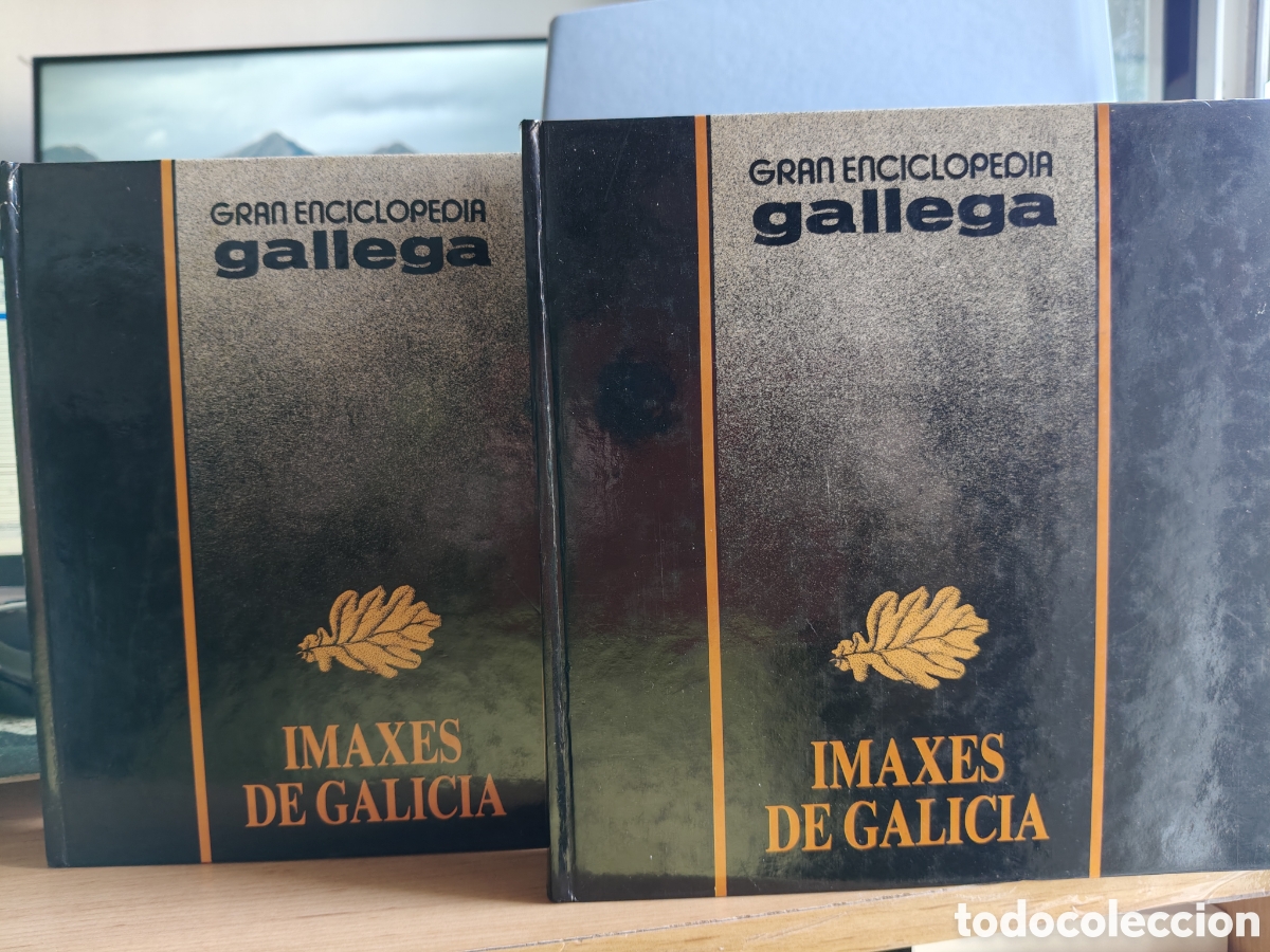 Libros: Lote Gran enciclopedia gallega completa