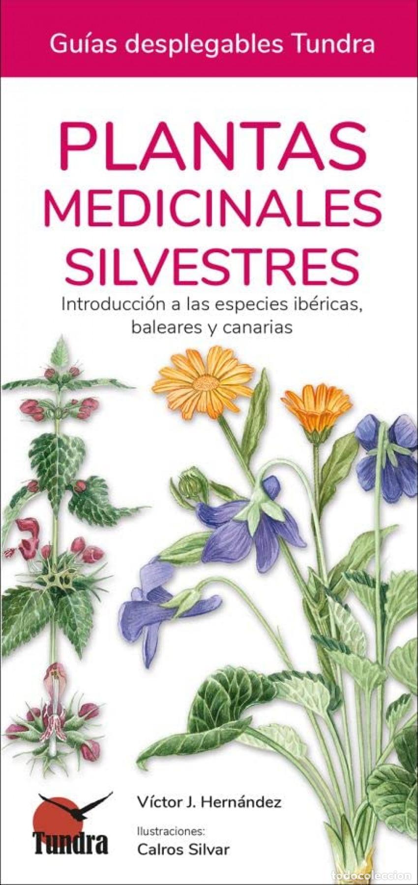 Livres: PLANTAS MEDICINALES SILVESTRES - VICTOR J HERNANDEZ