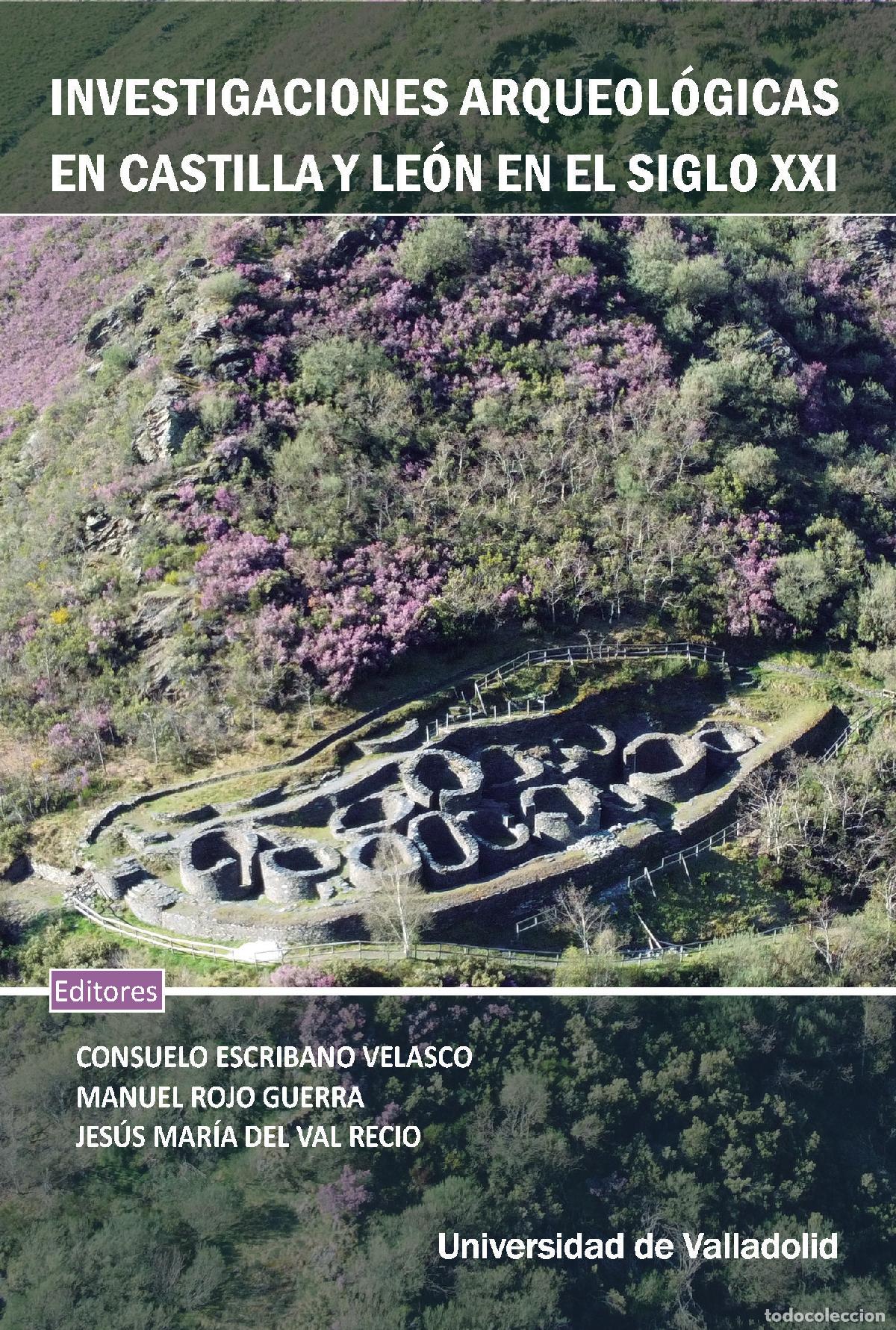 Libros: INVESTIGACIONES ARQUEOL&Oacute;GICAS EN CASTILLA Y LE&Oacute;N EN EL SIGLO XXI - Escribano Velasco, Consuelo
