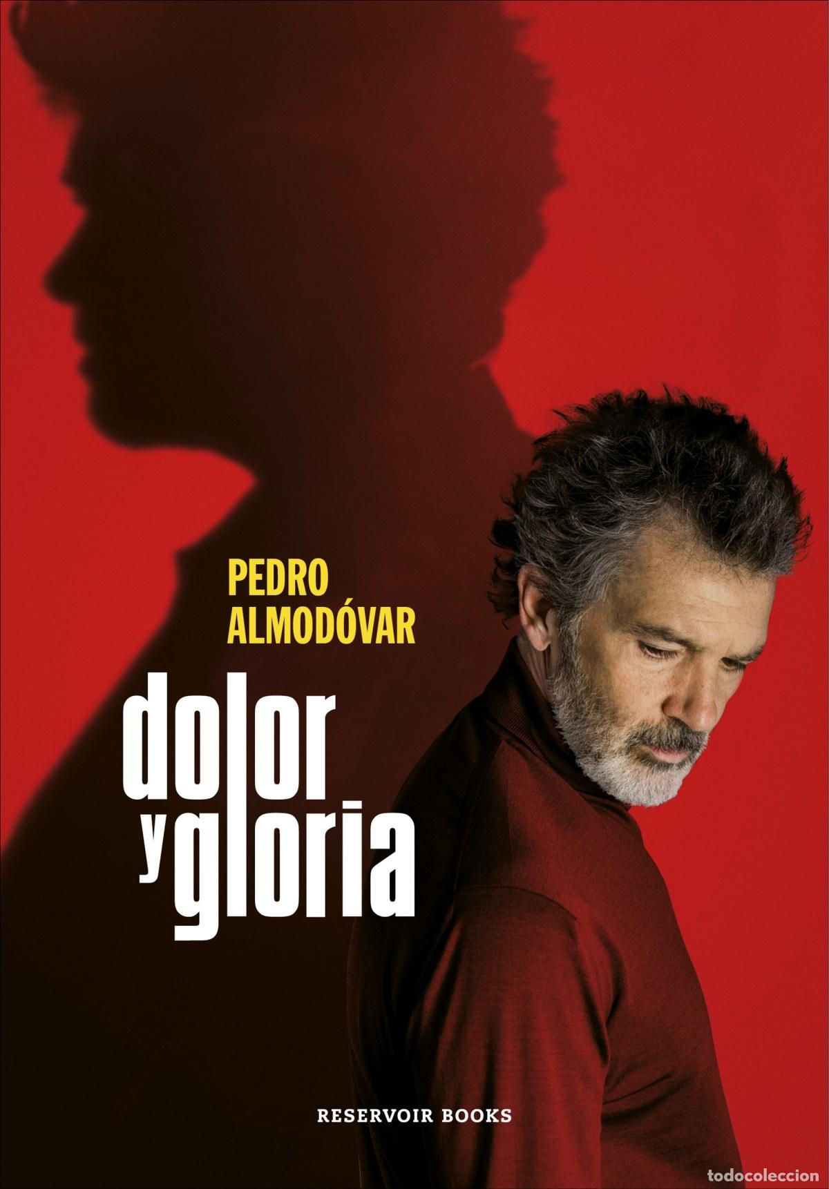 Libros: DOLOR Y GLORIA - Almod&oacute;var, Pedro