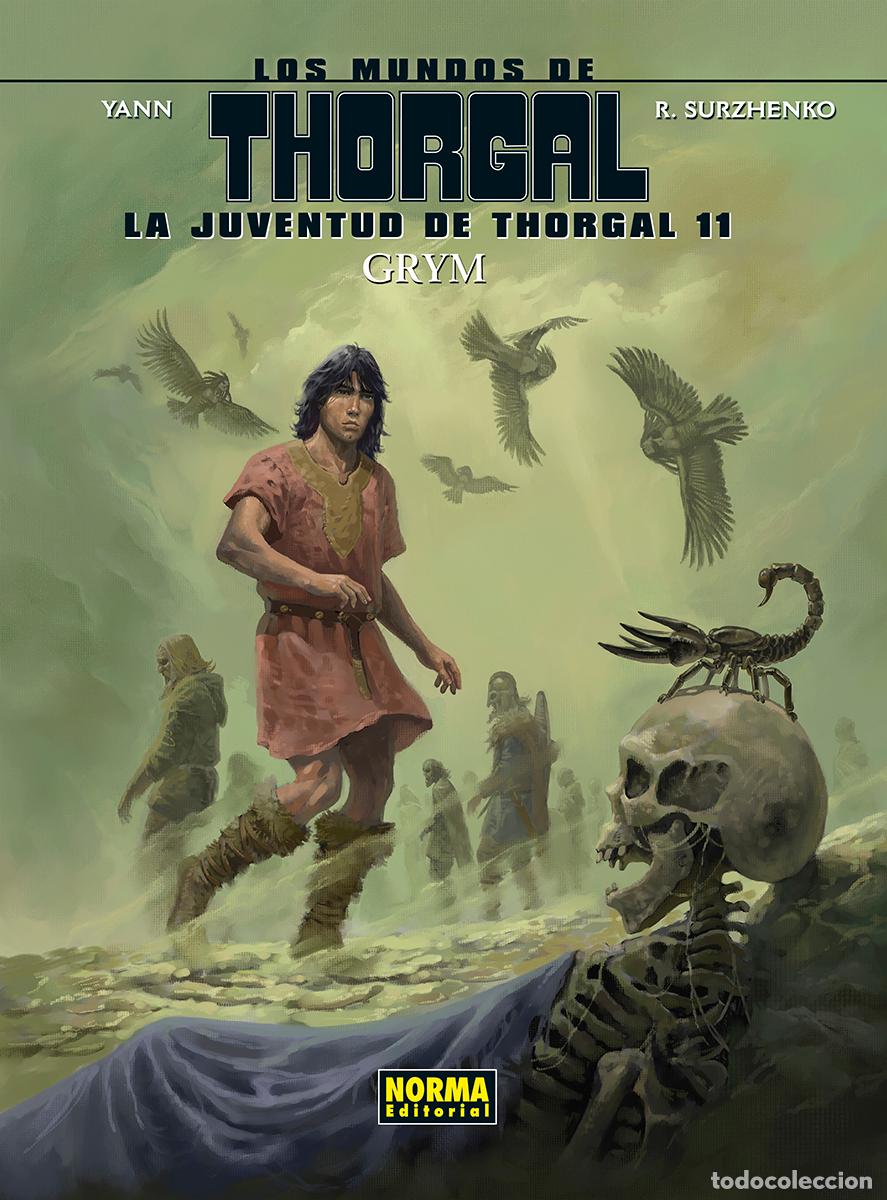 Libros: JUVENTUD DE THORGAL 11 GRYM - Yann, Surhenko