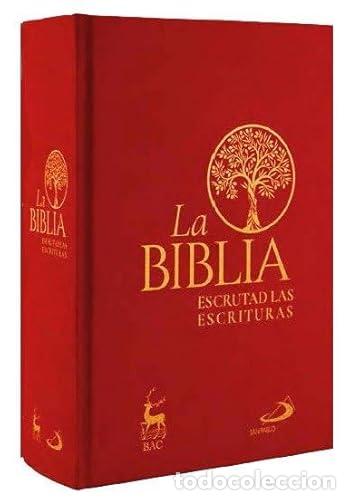 Libros: LA BIBLIA ENCUADERNACION EN TELA CON ESTUCHE - Espanol/Castellano