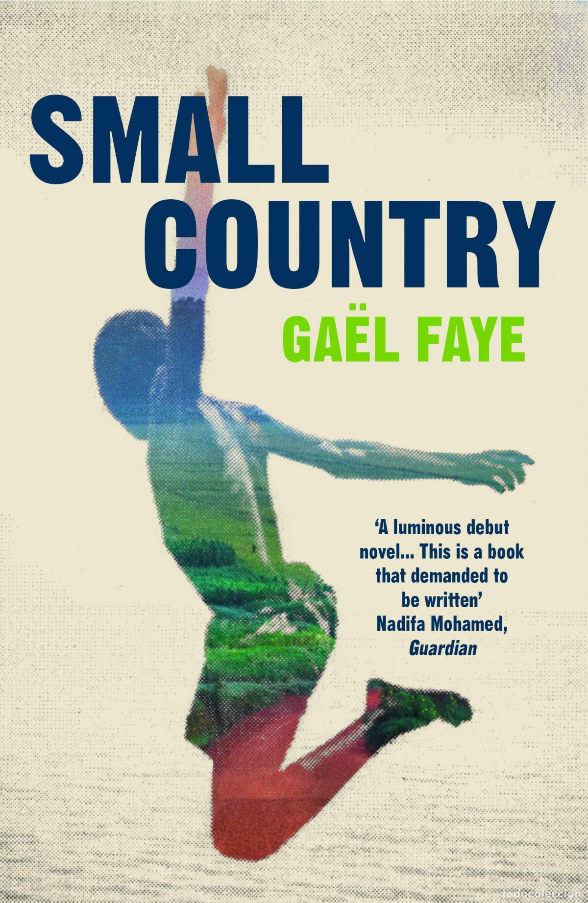 Libros: SMALL COUNTRY - FAYE, GAEL