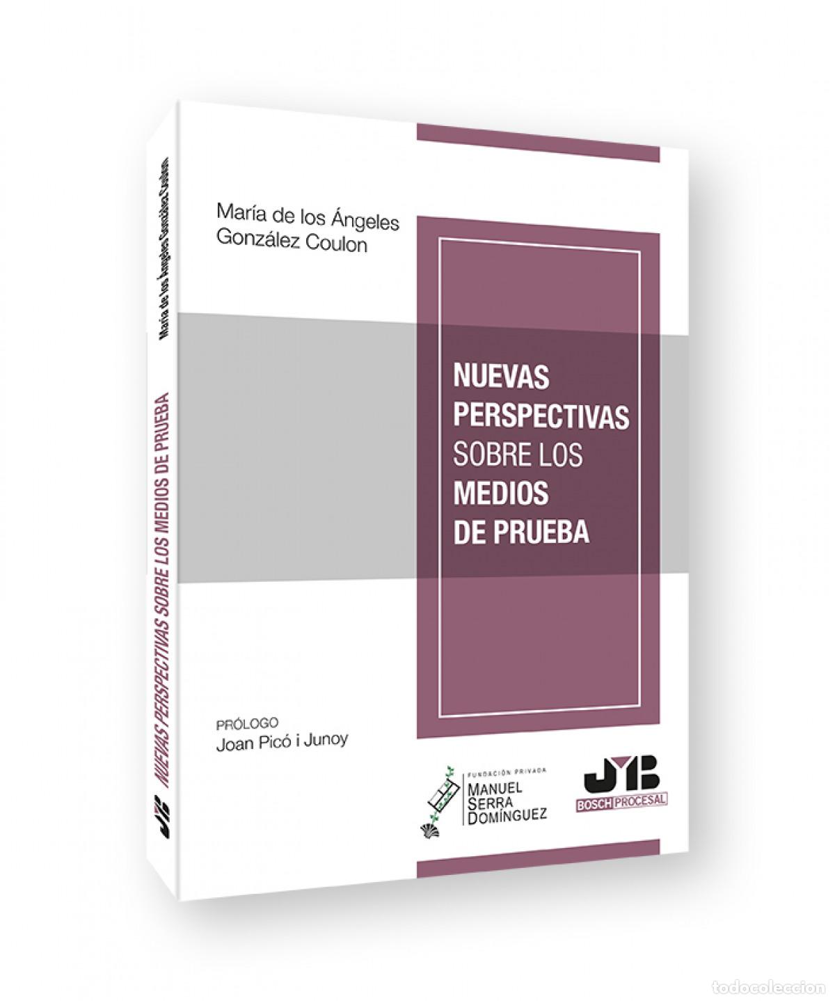 Libri: NUEVAS PERSPECTIVAS SOBRE LOS MEDIOS DE PRUEBA - Gonz&aacute;lez Coulon, Mar&iacute;a de los &Aacute;ngeles