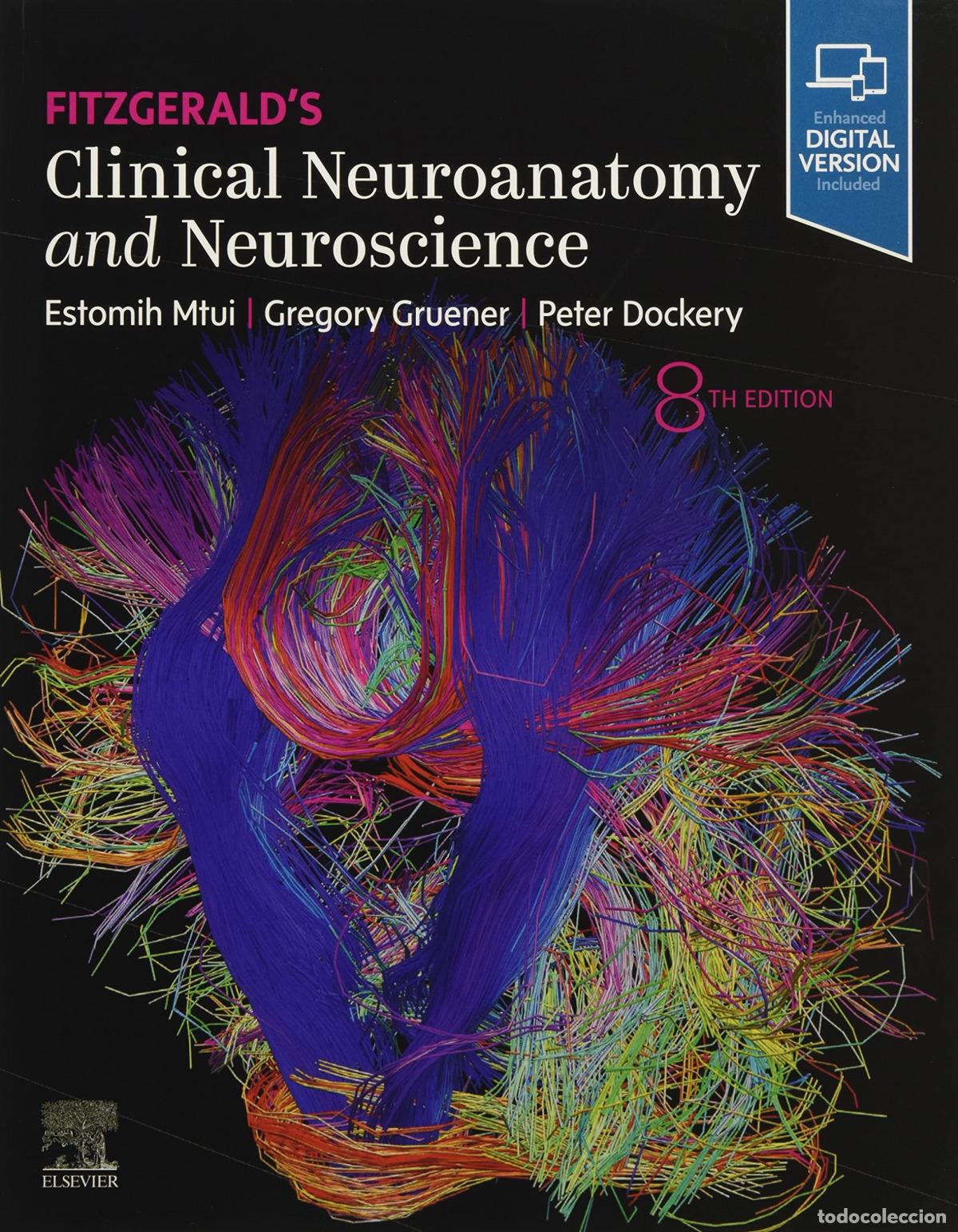 Livros: FITZGERALD&acute;S CLINICAL NEUROANATOMY AND NEUROSCIENCE - Mtui