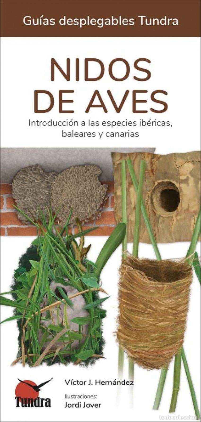 Libros: NIDOS DE AVES- GUIAS DESPLEGABLES TUNDRA - VICTOR J HERNANDEZ