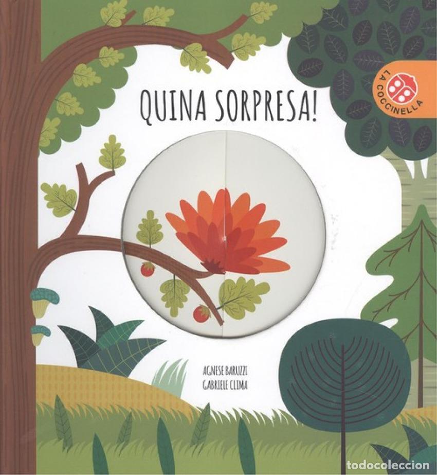 Libros: QUINA SORPRESA! - Baruzzi, Agnese