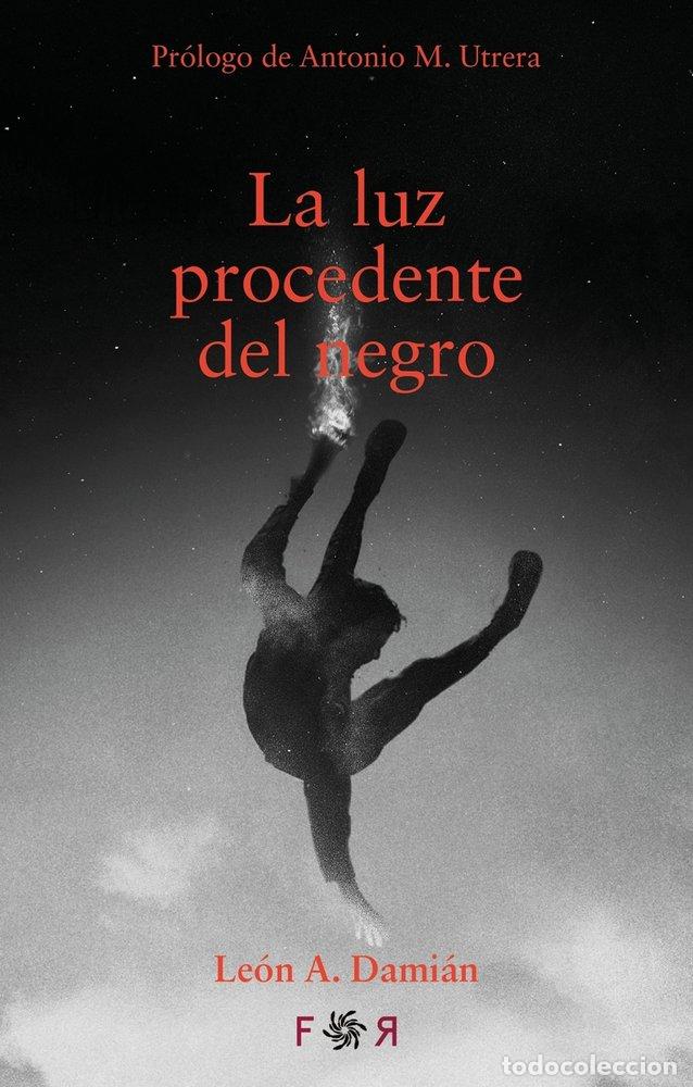 Libri: LUZ PROCEDENTE DEL NEGRO,LA - DAMIAN, LEON A