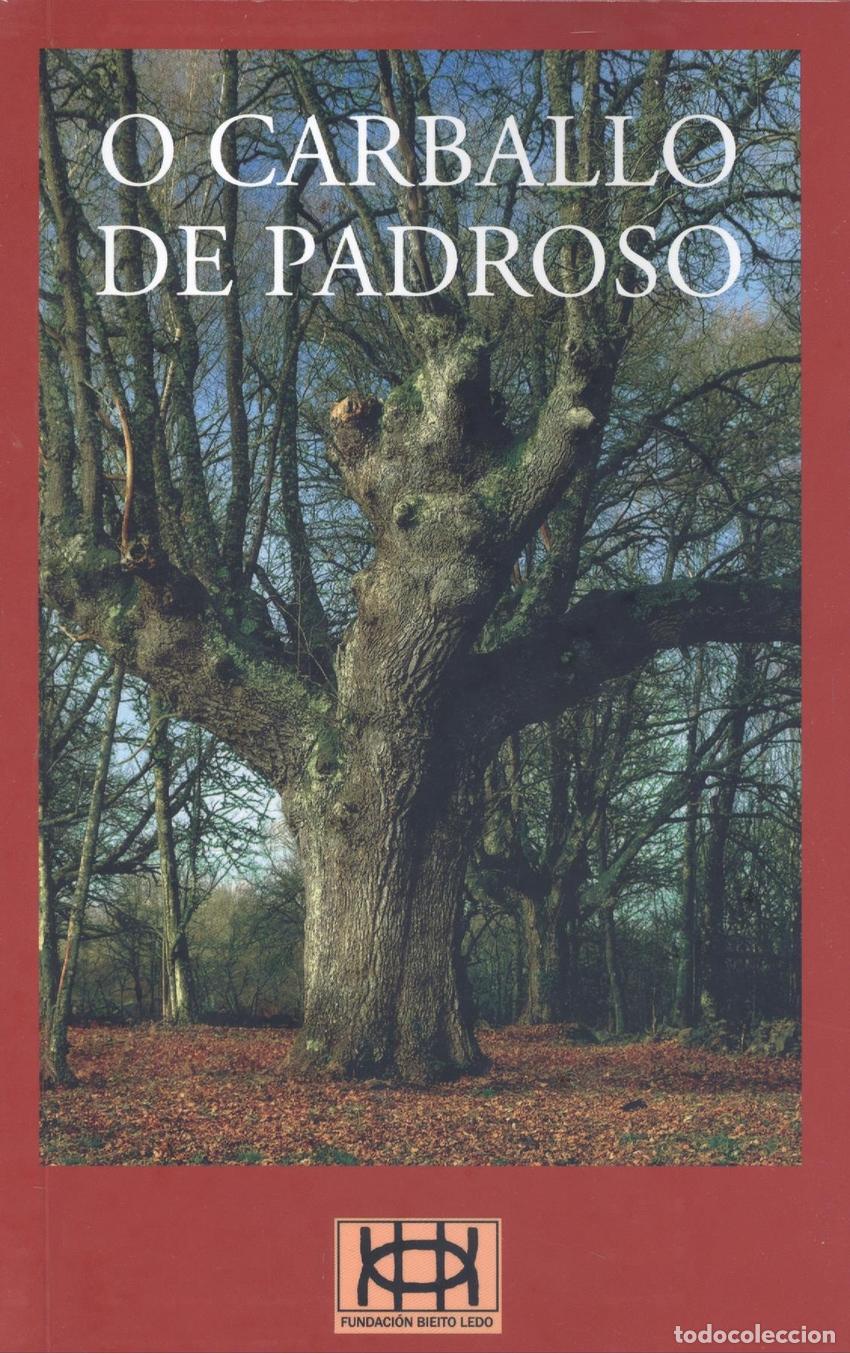 Livres: O CARBALLO DE PADROSO - Poesia