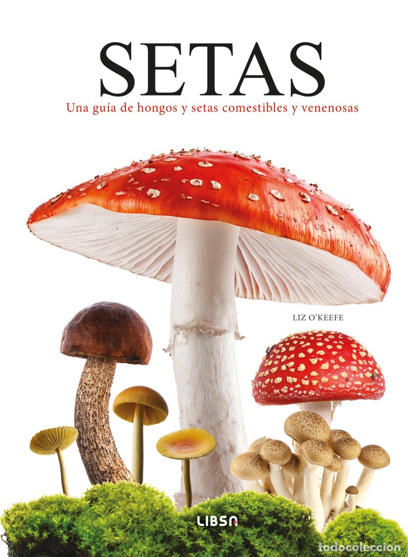 Livros: SETAS - Liz O&#39;Keefe