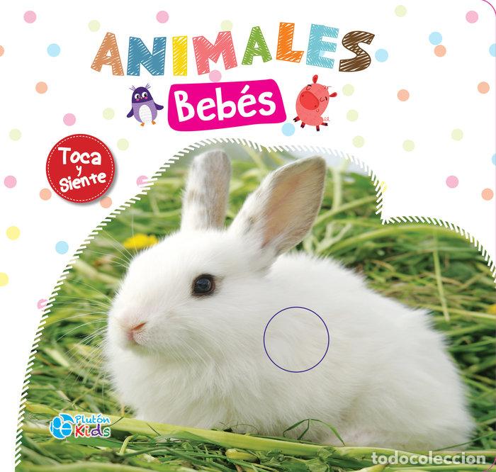 books: ANIMALES BEBES - AA.VV